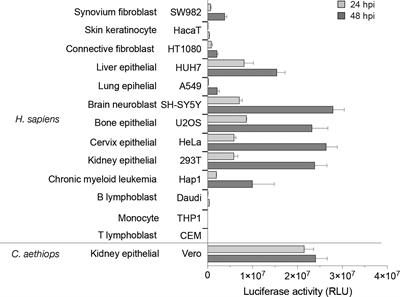 Identification of a non-canonical G3BP-binding sequence in a Mayaro virus nsP3 hypervariable domain